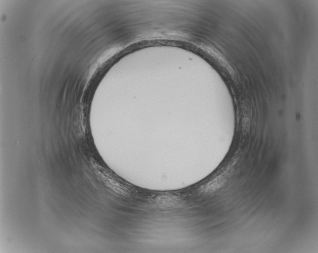 X0000070870974200607150117