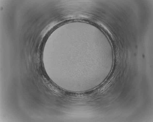 X0000070870975200607150117