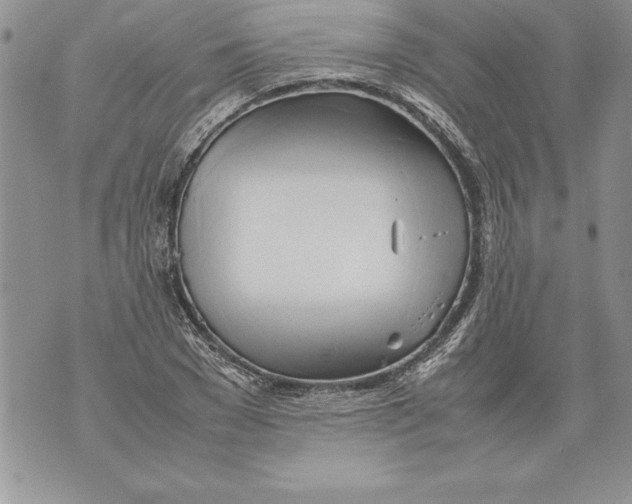 X0000070870977200607150117