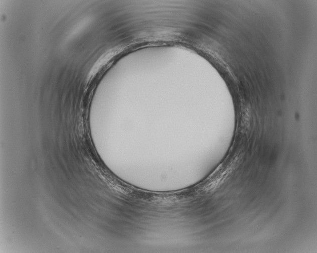 X0000070870978200607150117