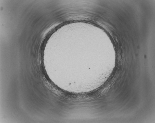 X0000070870979200607150117