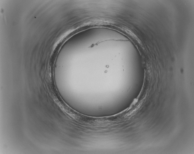 X0000070870981200607150117