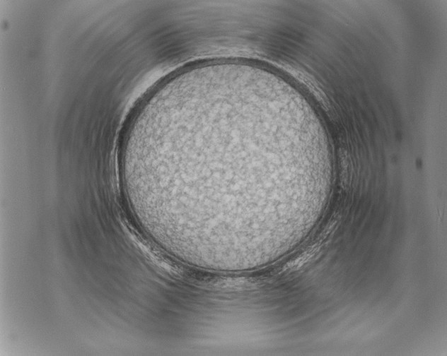 X0000070870982200607150117