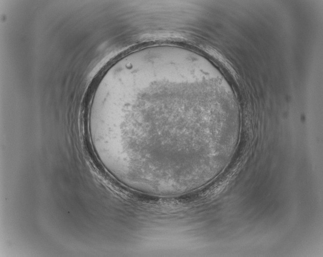 X0000070870983200607150117