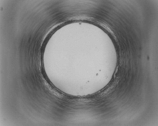 X0000070870984200607150117