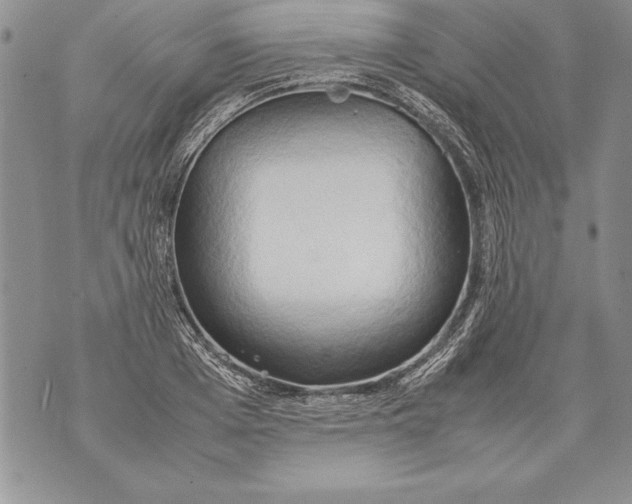 X0000070870985200607150117