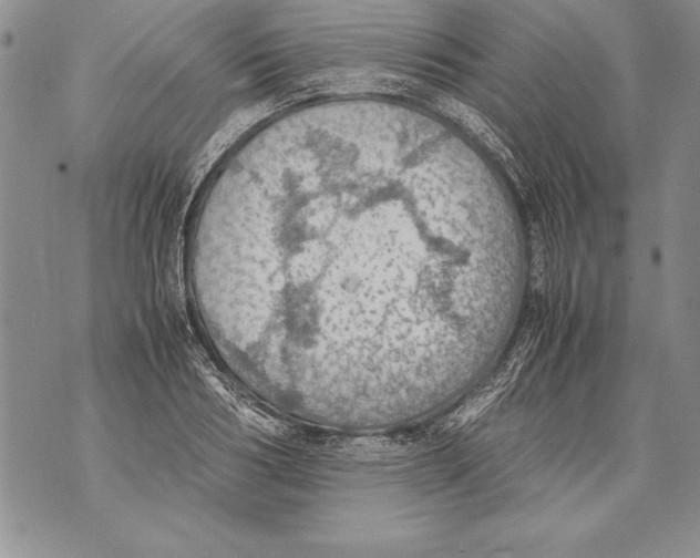 X0000070870986200607150117