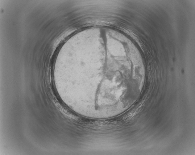 X0000070870987200607150117