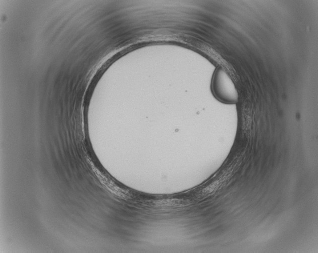 X0000070870988200607150117