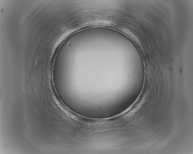 X0000070870989200607150117