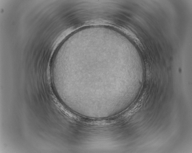 X0000070870990200607150117