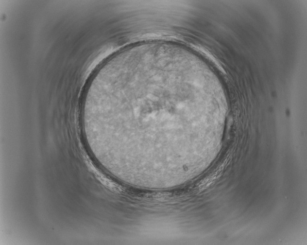 X0000070870991200607150117