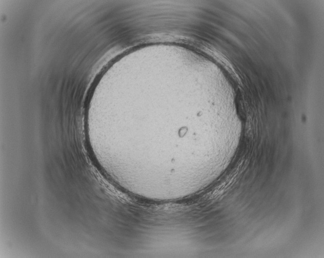 X0000070870992200607150117