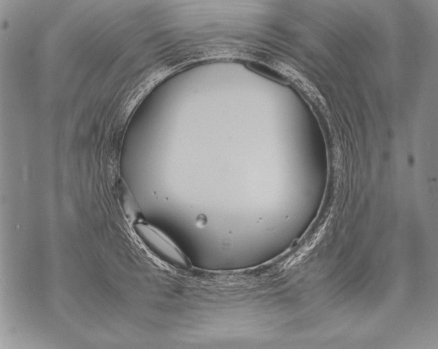 X0000070870993200607150117