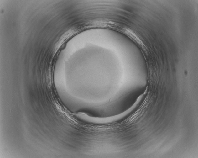 X0000070870994200607150117