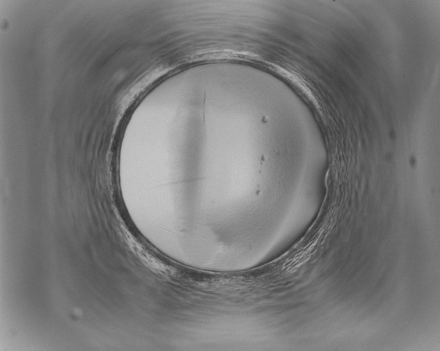 X0000070870995200607150117