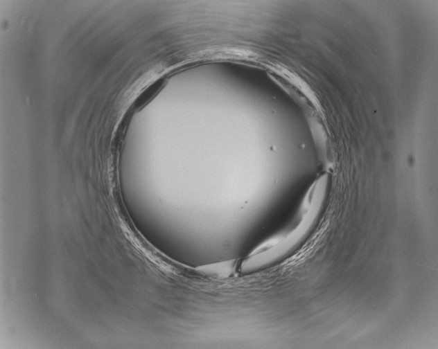 X0000070870997200607150117