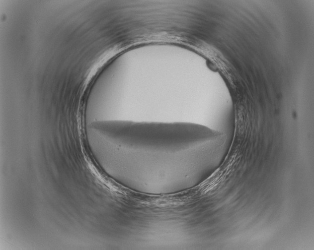 X0000070870998200607150117