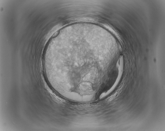 X0000070870999200607150117