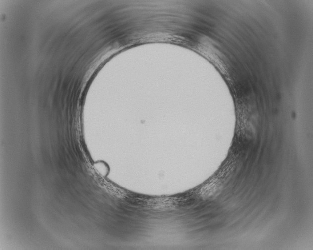 X0000070871000200607150116