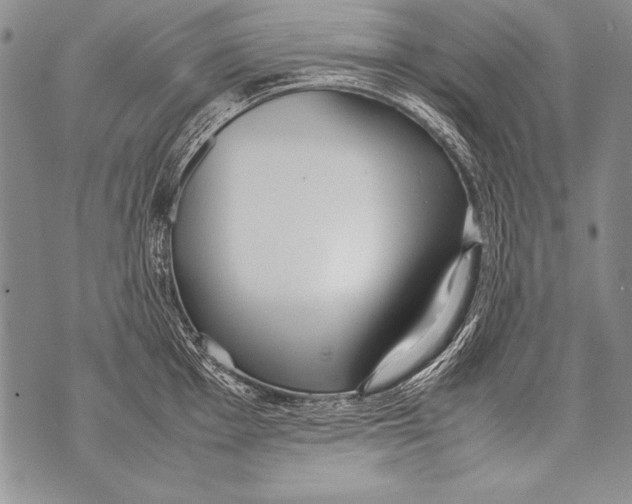 X0000070871001200607150116