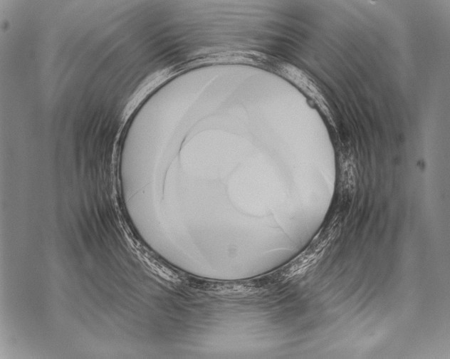 X0000070871002200607150116