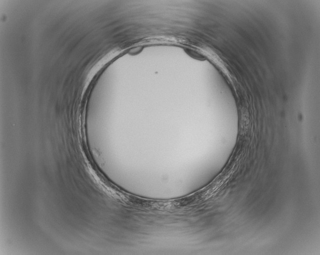 X0000070871003200607150116