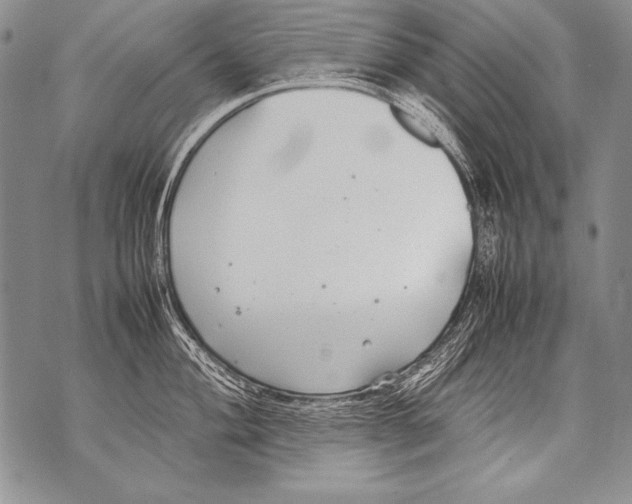 X0000070871004200607150116