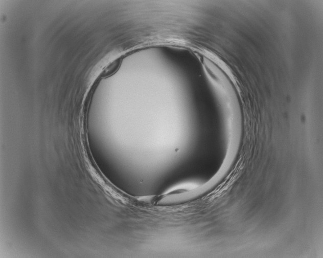 X0000070871005200607150116