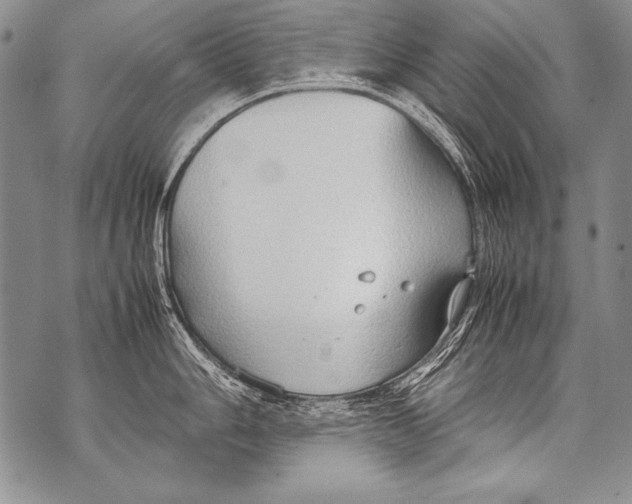 X0000070871006200607150116