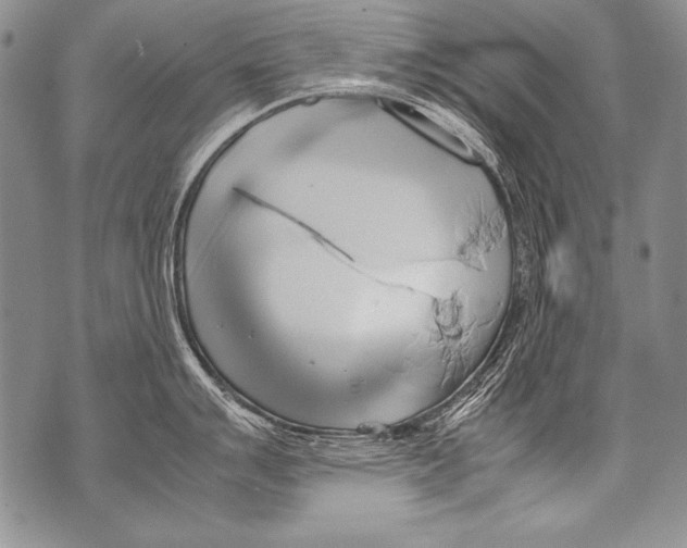 X0000070871007200607150116