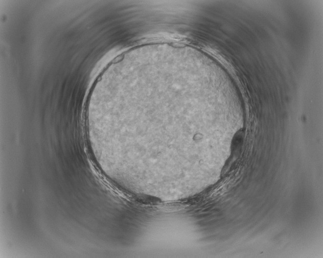 X0000070871008200607150116