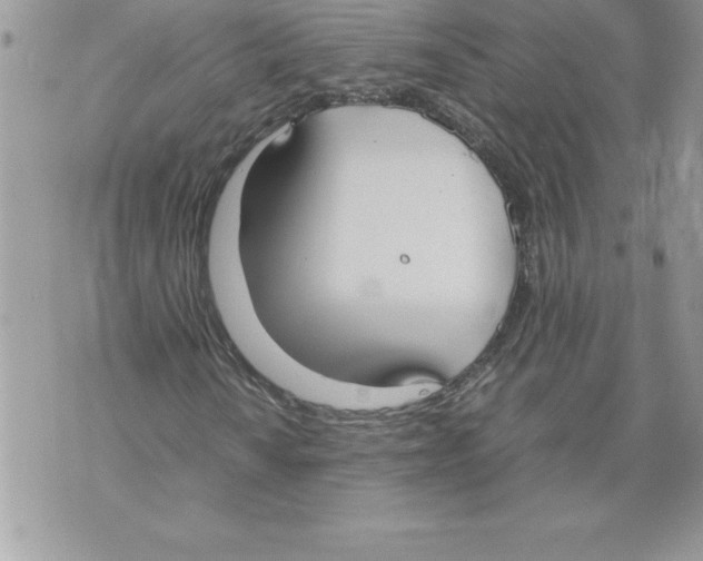 X0000070871010200607150116