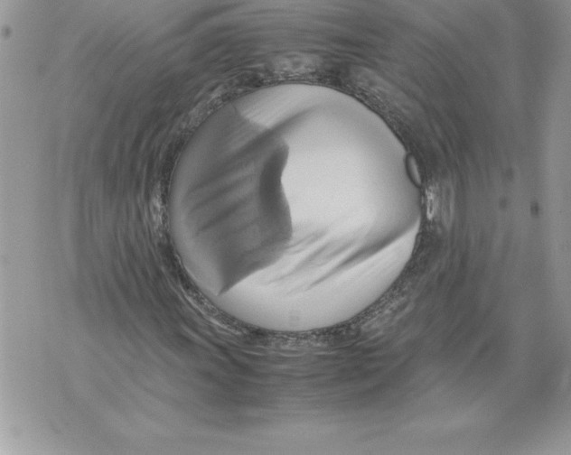 X0000070871011200607150116