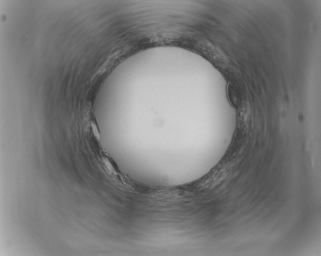 X0000070871012200607150116