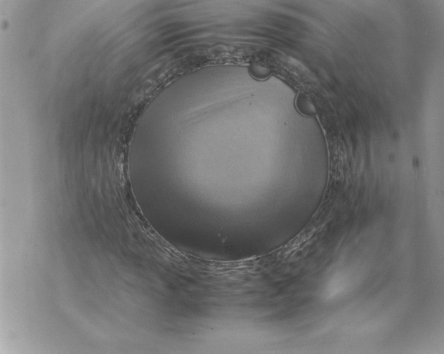 X0000070871013200607150116