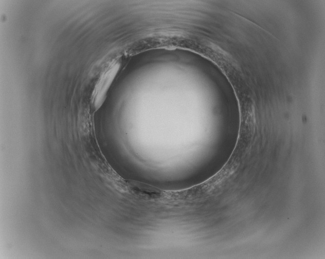 X0000070871014200607150116