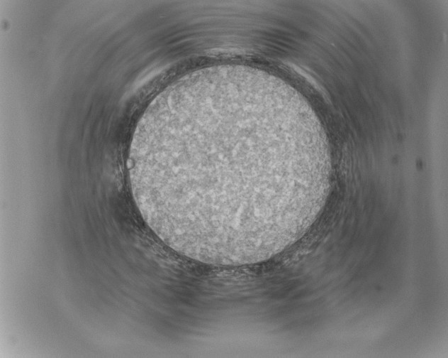 X0000070871015200607150116