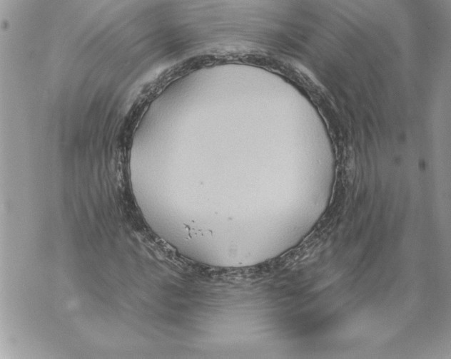 X0000070871016200607150116