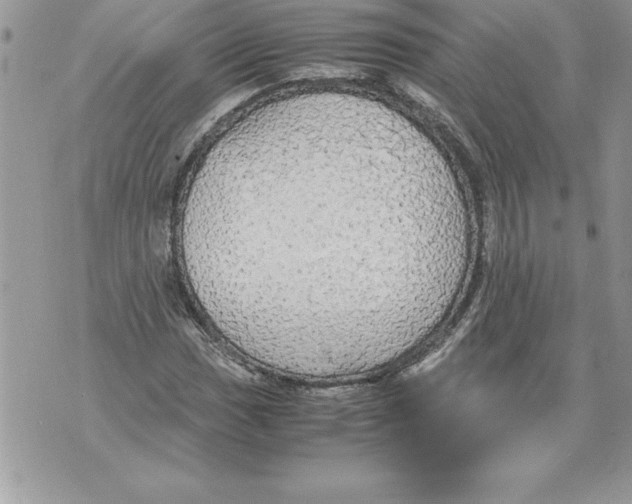 X0000070871017200607150116