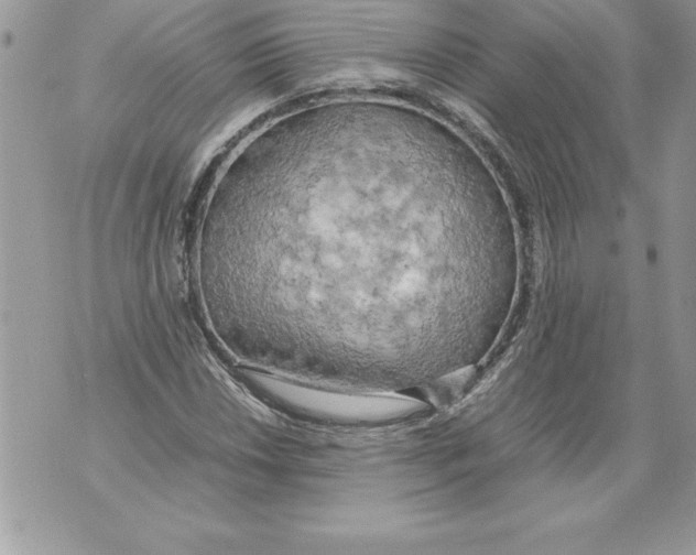 X0000070871018200607150116