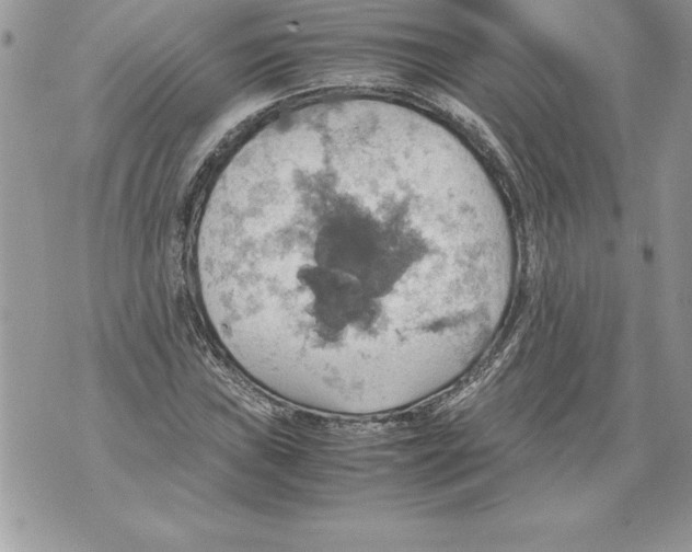 X0000070871019200607150116