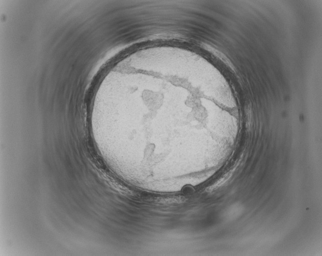 X0000070871021200607150116