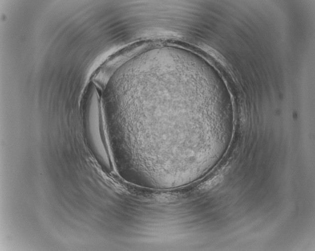 X0000070871022200607150116