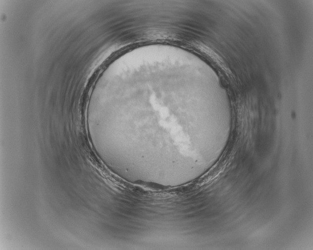 X0000070871023200607150116