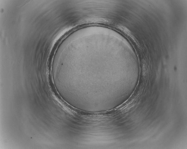 X0000070871024200607150116