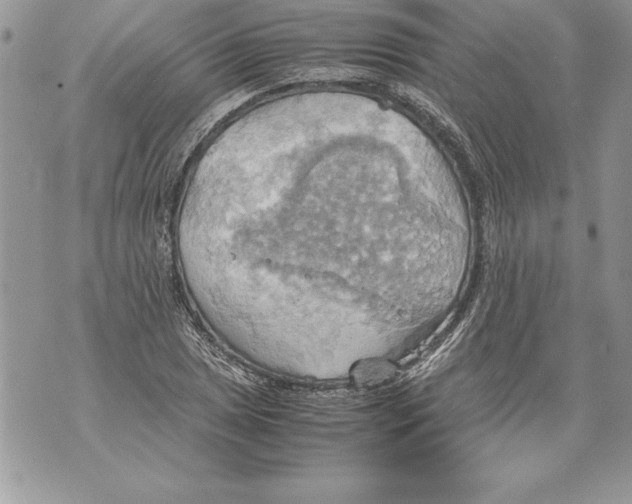 X0000070871025200607150116