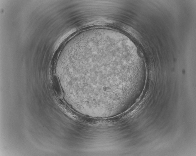 X0000070871026200607150116