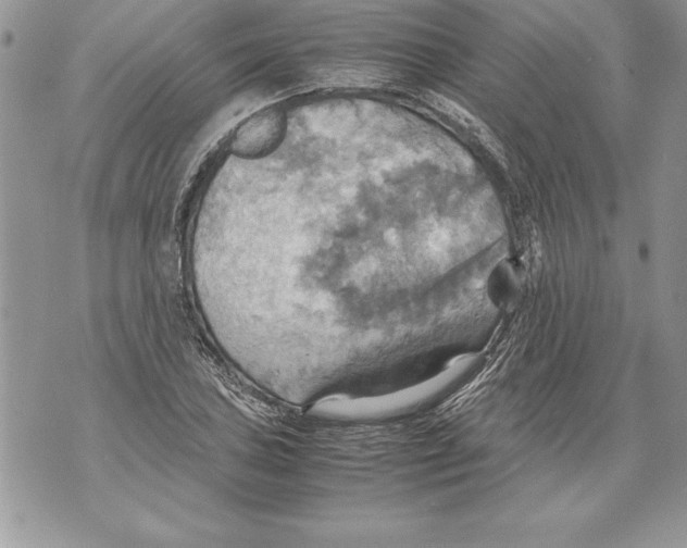 X0000070871027200607150116