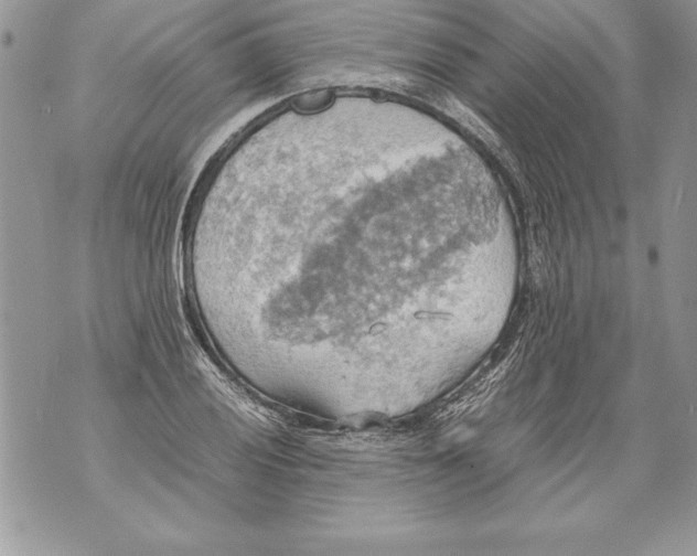 X0000070871028200607150116